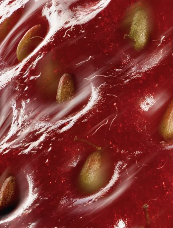 THE ROSÉ PROTOCOL Serum anti-edad con péptidos