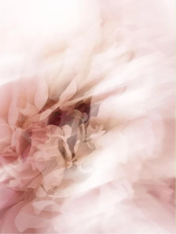 THE SILK PHASE Contorno de ojos