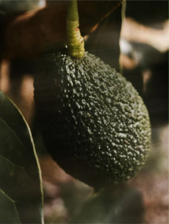 THE C SERUM Serum de Vitamina C